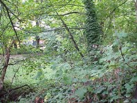 The site prior to our installation work.