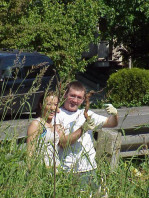 A large blackberry root pulled from the site.