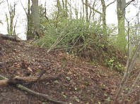 Stacks of weeds awaiting composting.
