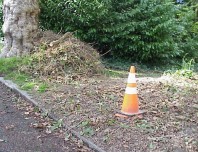 Stacks of weeds awaiting composting.