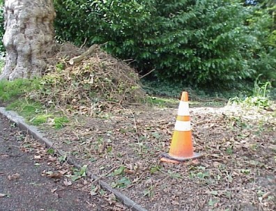 Stacks of weeds awaiting composting.