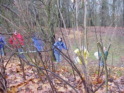 A bucket brigade for wood chips.