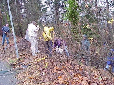 A bucket brigade for wood chips.