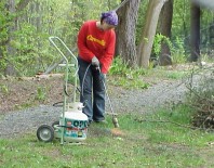 Burning and ripping out turf to kill it before mulching the area.