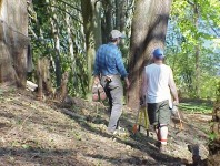 Discussing our progress and planning the next steps.