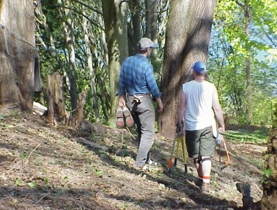 Discussing our progress and planning the next steps.