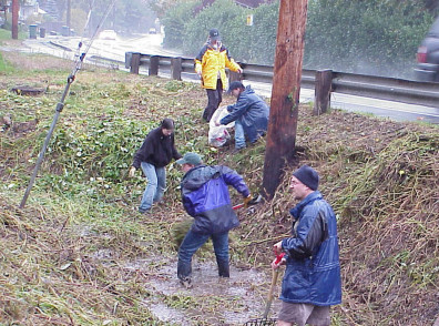 Removing weeds from the site.