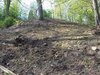 Our progress after four work parties.