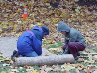 Cutting coir and placing it on the steep slope to control erosion.