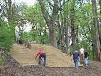 Placing jute along the steepest part of the slope to help hold soil in place.