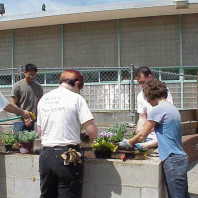 Installing and watering in new plantings.