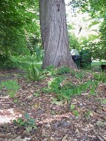 Views of the freshly completed installation.