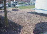 The freshly mulched and completed site.