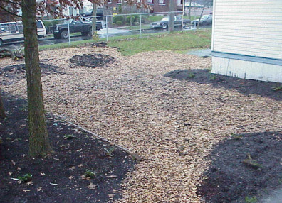 The freshly mulched and completed site.