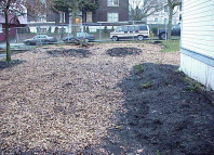 The freshly mulched and completed site.