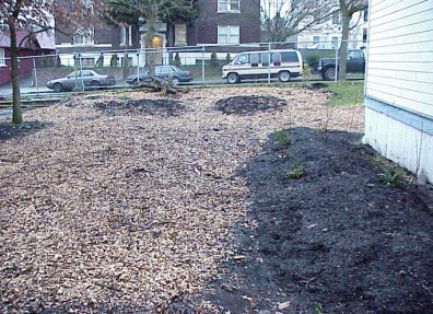The freshly mulched and completed site.