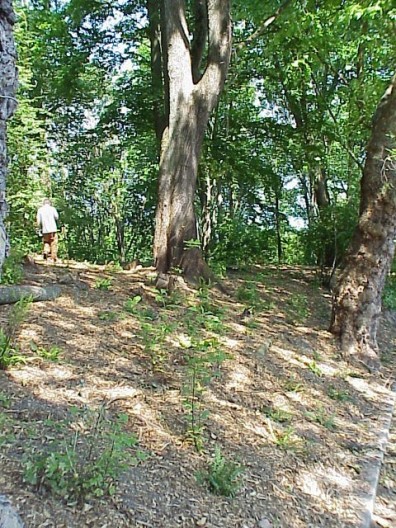 Views of the freshly completed installation.