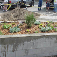 The finished educational bed.