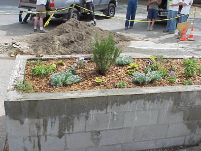 The finished educational bed.