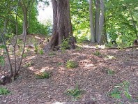 Views of the freshly completed installation.