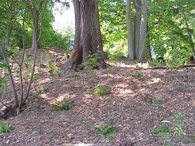 Views of the freshly completed installation.