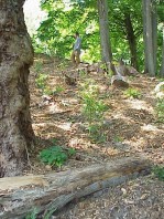 Views of the freshly completed installation.