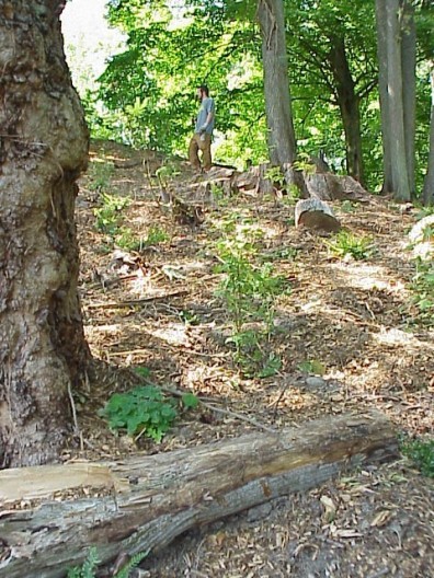 Views of the freshly completed installation.