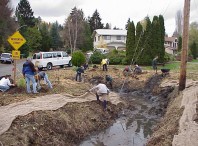 Laying jute for erosion control.
