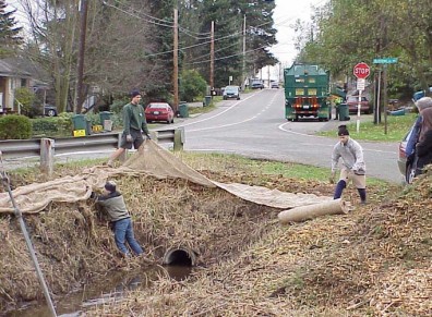 Laying jute for erosion control.