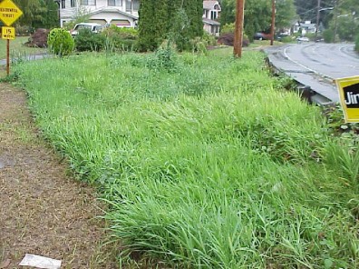 The site prior to renovation.