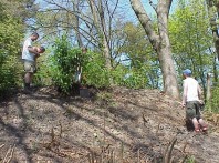 Discussing our progress and planning the next steps.