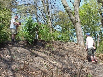 Discussing our progress and planning the next steps.