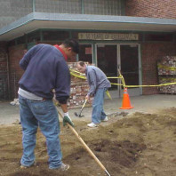 Filling in the big bed with soil and reshaping the planting mounds.
