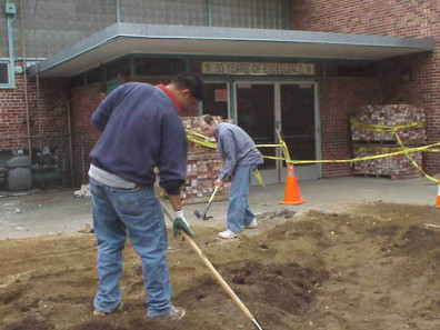 Filling in the big bed with soil and reshaping the planting mounds.