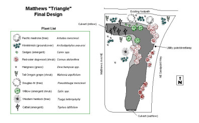 The proposed site design.