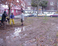 The site following turf removal.