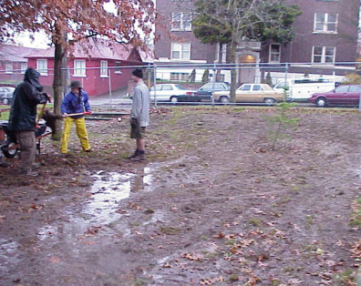 The site following turf removal.