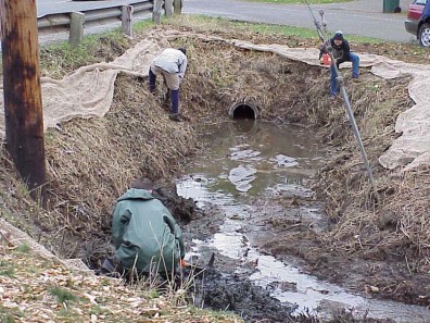 The stream that emerged from beneath the weeds.