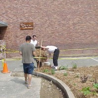 Mulching the big bed.
