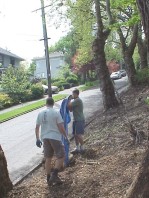 Running the mulch down the slope and dumping it in place.