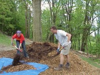 Loading mulch for a trip down the slope.