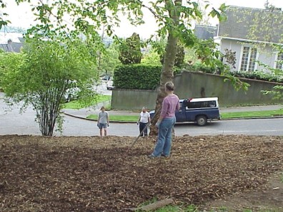 S.urveying the results.