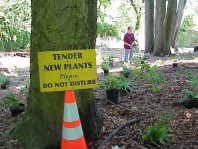 A sign notifying visitors of the new plants.
