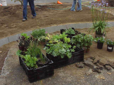 Plants to be installed on the site.