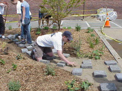 Installing pavers to create a path through the big bed.