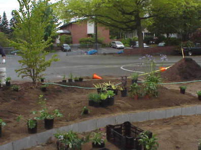 Discussing the best plant layout.