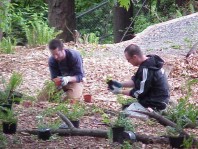 Removing potting soil prior to installation, which will reduce soil interface problems and enhance plant establishment.