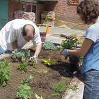 Installing and watering in new plantings.