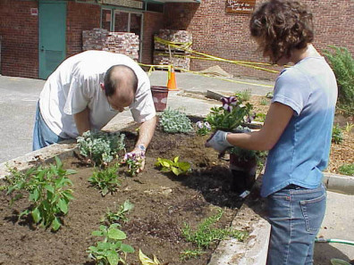 Installing and watering in new plantings.