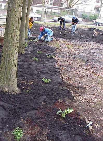Installing more plants.